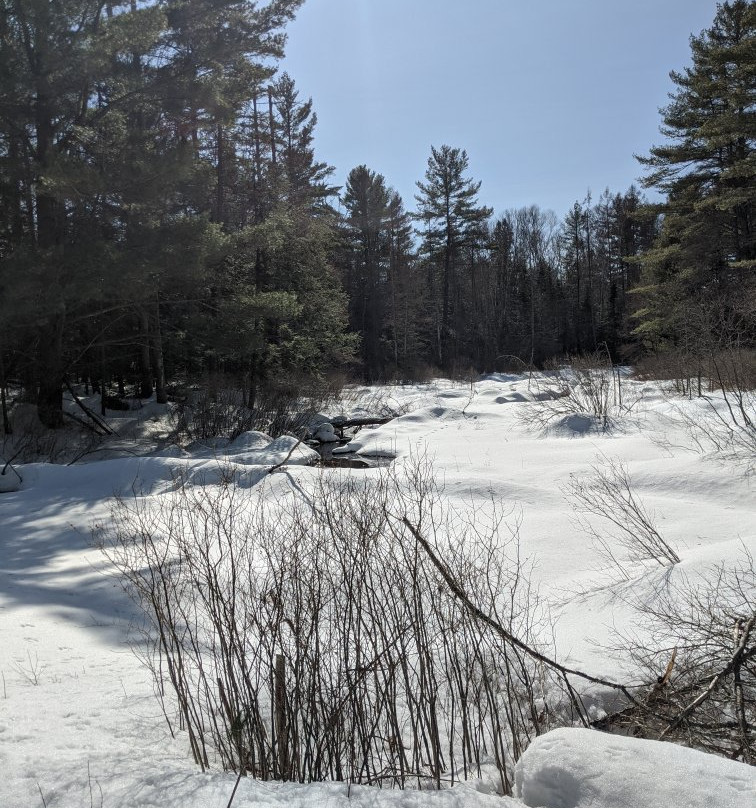 Haliburton Highlands Water Trails-Haliburton必去景点
