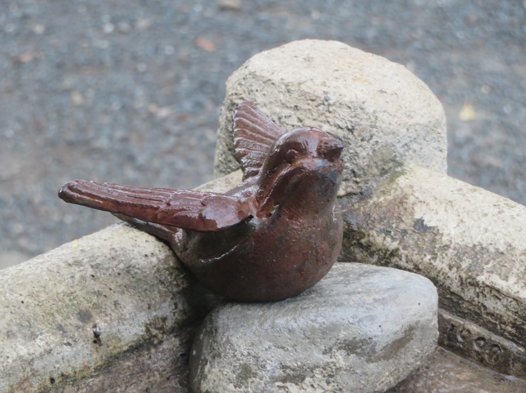 Rodrigue Molyneaux Estate Winery & Vineyard-利佛摩必去景点