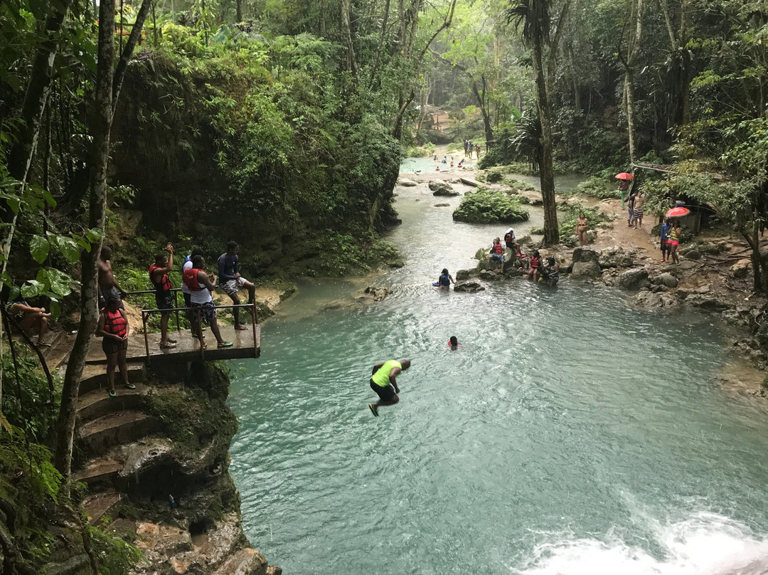 Peat Taylor Tours-奥乔里奥斯必去景点