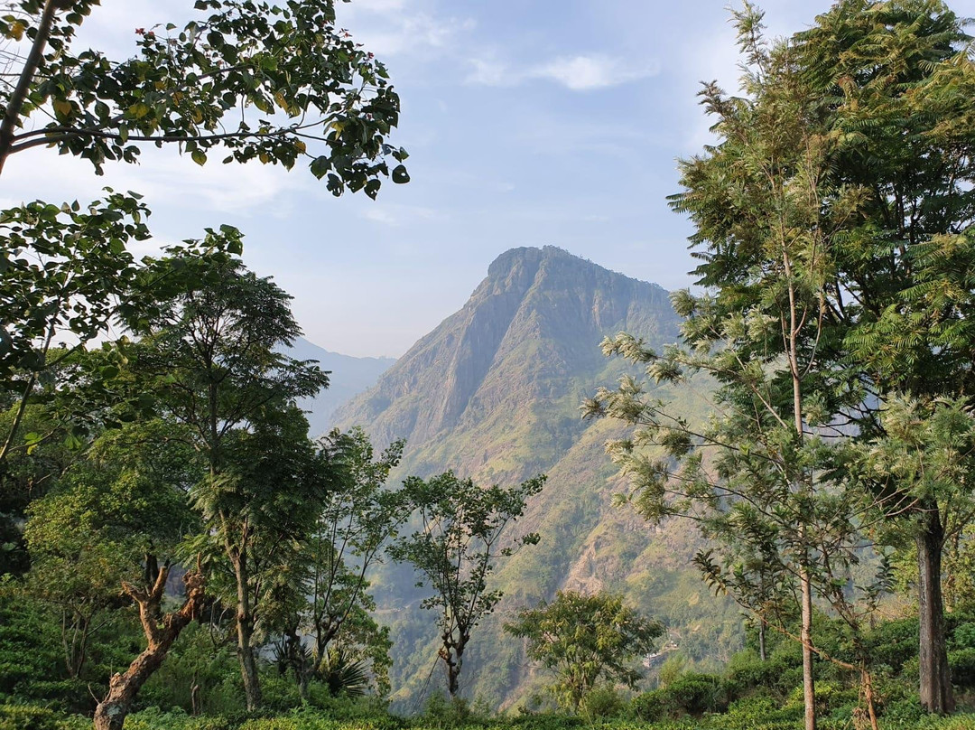 Dee Lanka Tours景点图片
