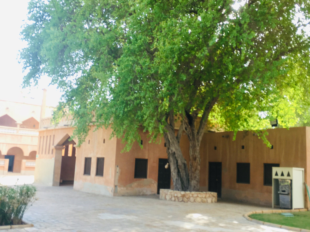 Al Ain National Museum-艾因市必去景点
