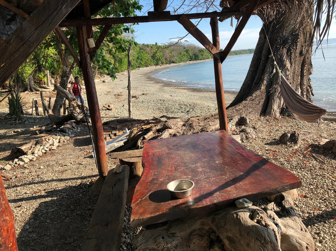 Howler Monkey Hotel主图