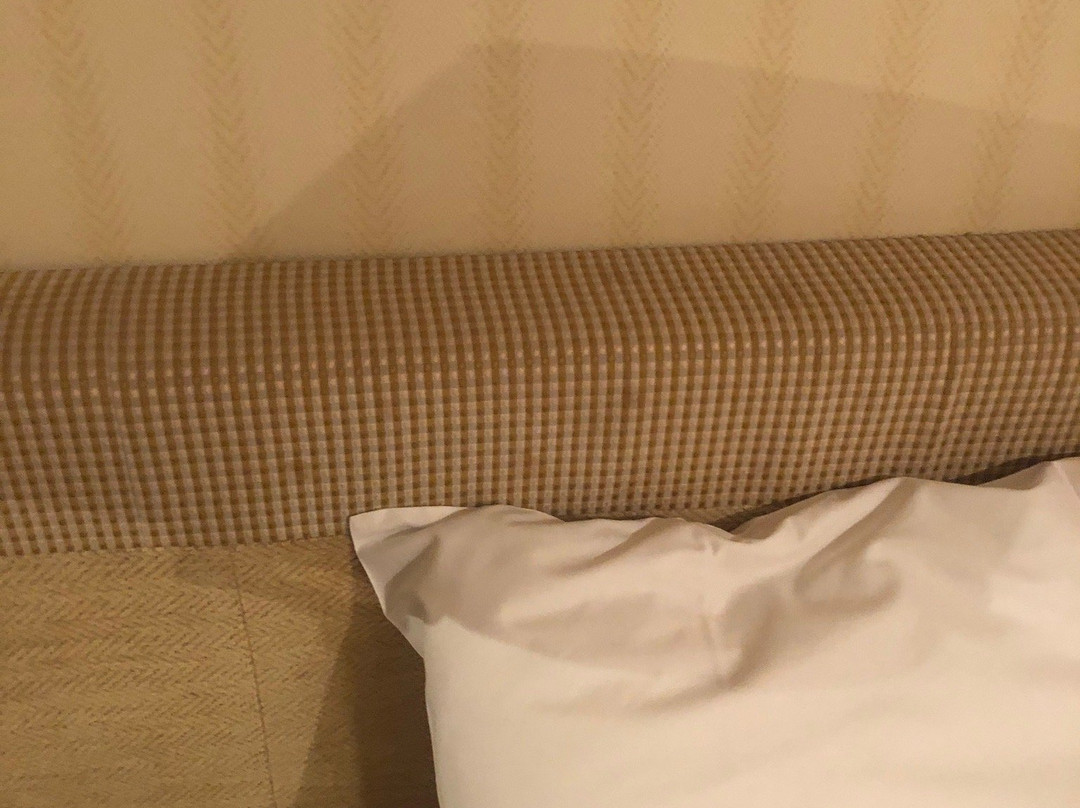 Oyo Best Western Station Hotel主图
