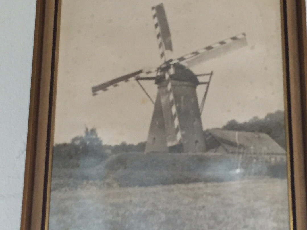 De Witte Molen主图