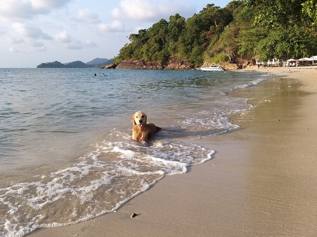 嘉雅普利温泉度假酒店主图