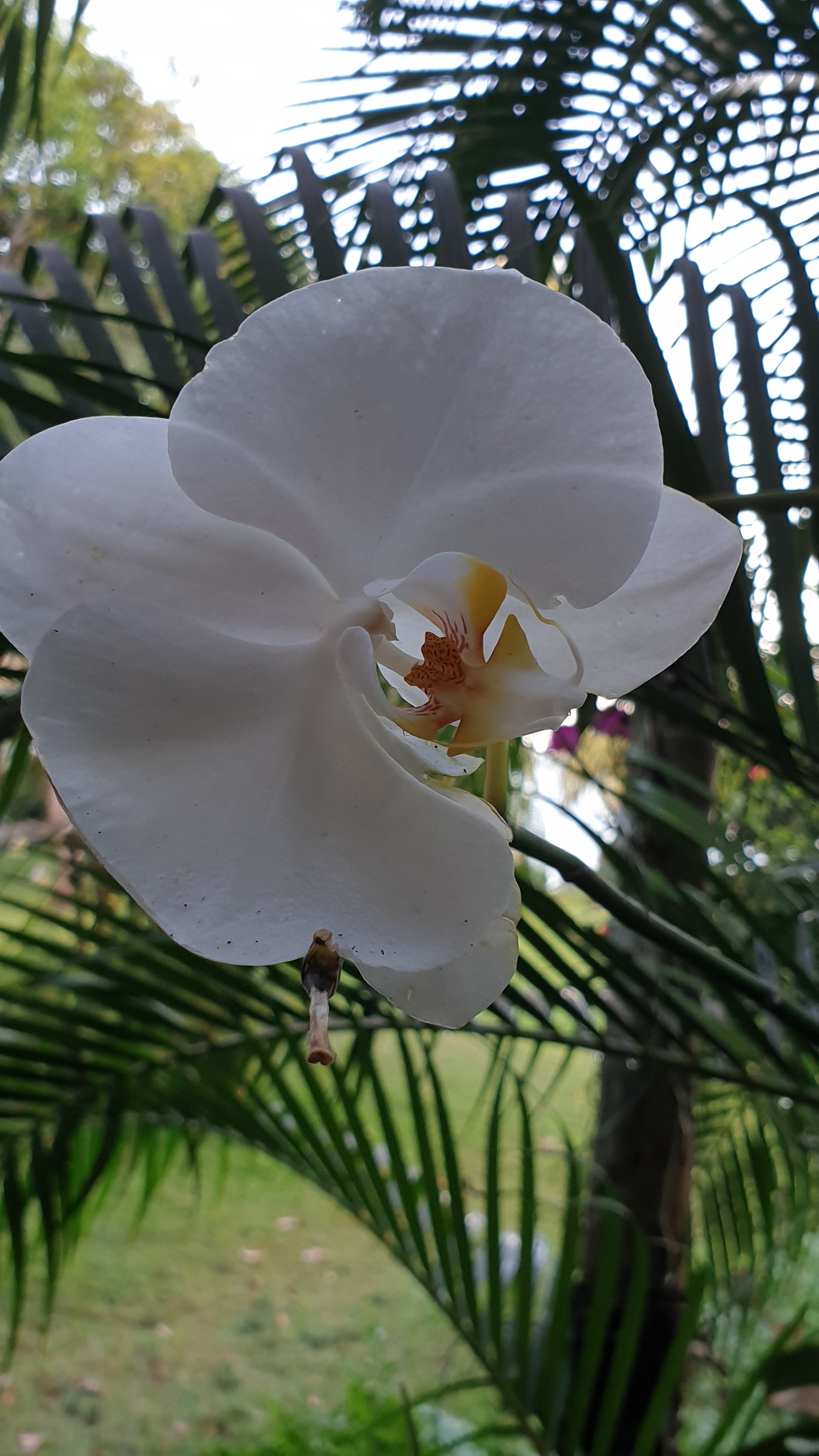 Hotel Amor de Mar-泳池