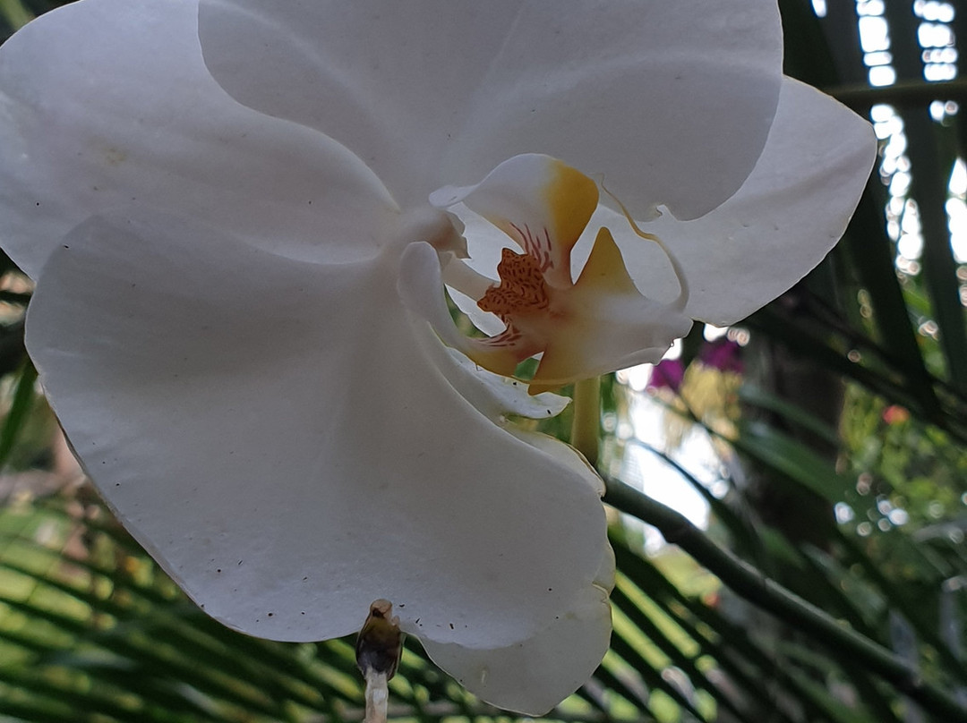 Hotel Amor de Mar主图