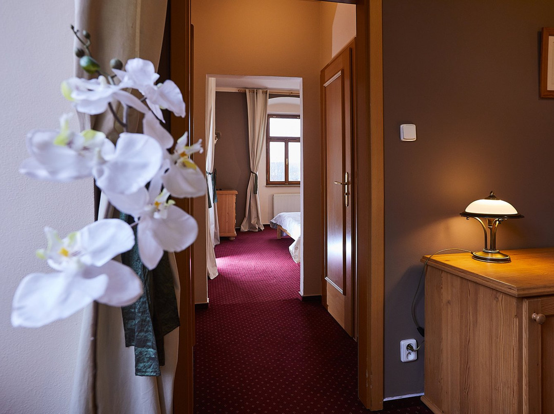 Hotel Panská主图