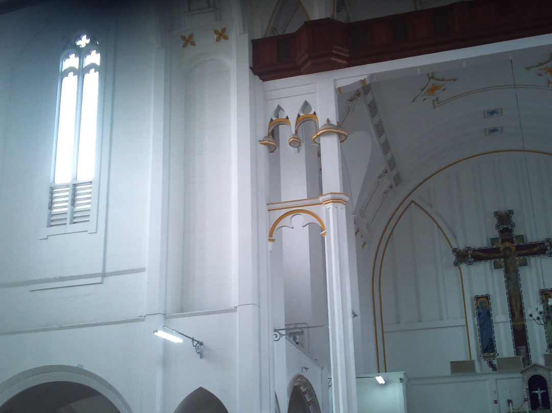 Cathedral of the Immaculate Conception景点图片