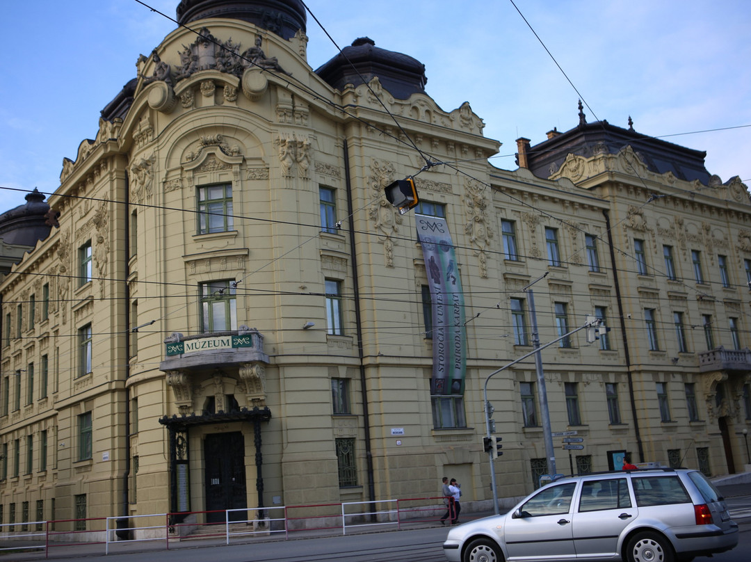 East Slovak Museum in Kosice景点图片