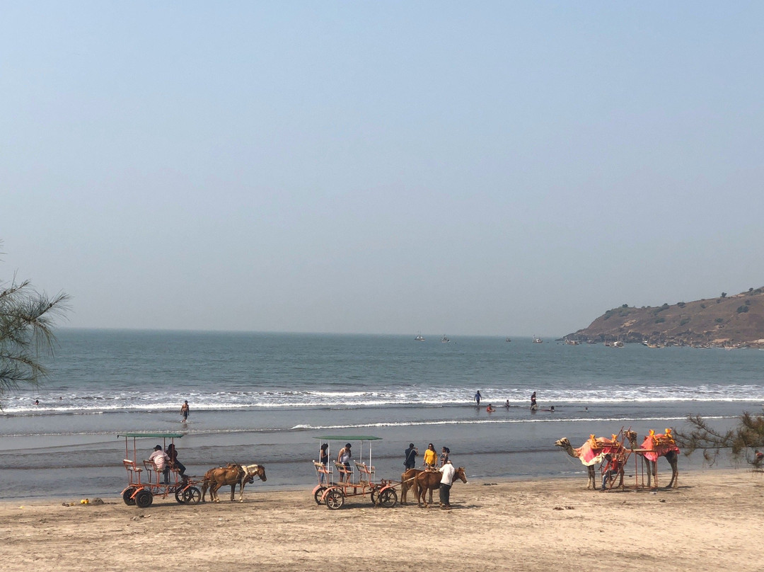 Green Gate Resort主图