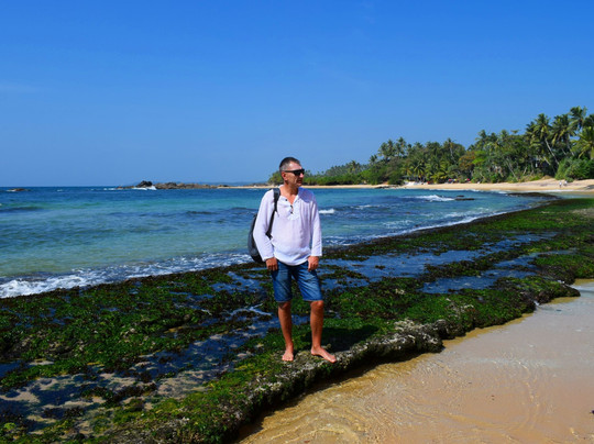 White Lion Paradise主图