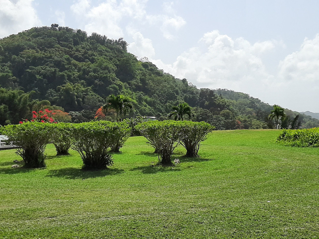 Mount Dillon Look Out-Moriah必去景点
