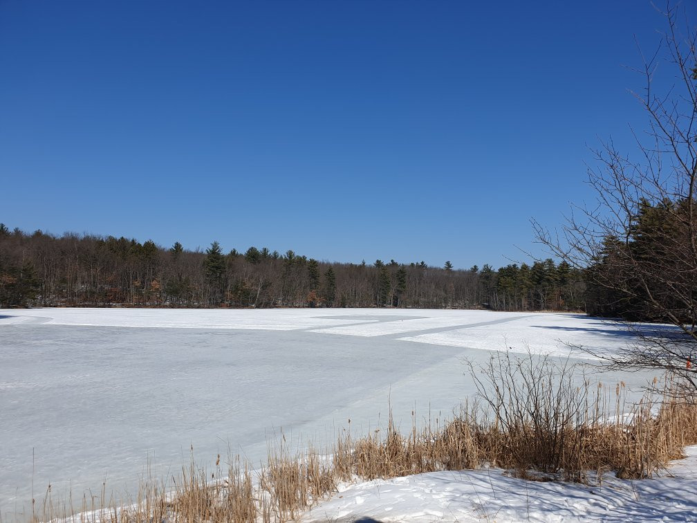 Livingston Park-曼彻斯特必去景点