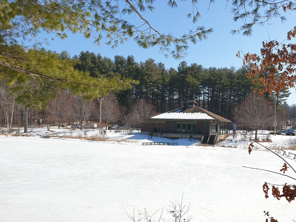 Livingston Park-曼彻斯特必去景点