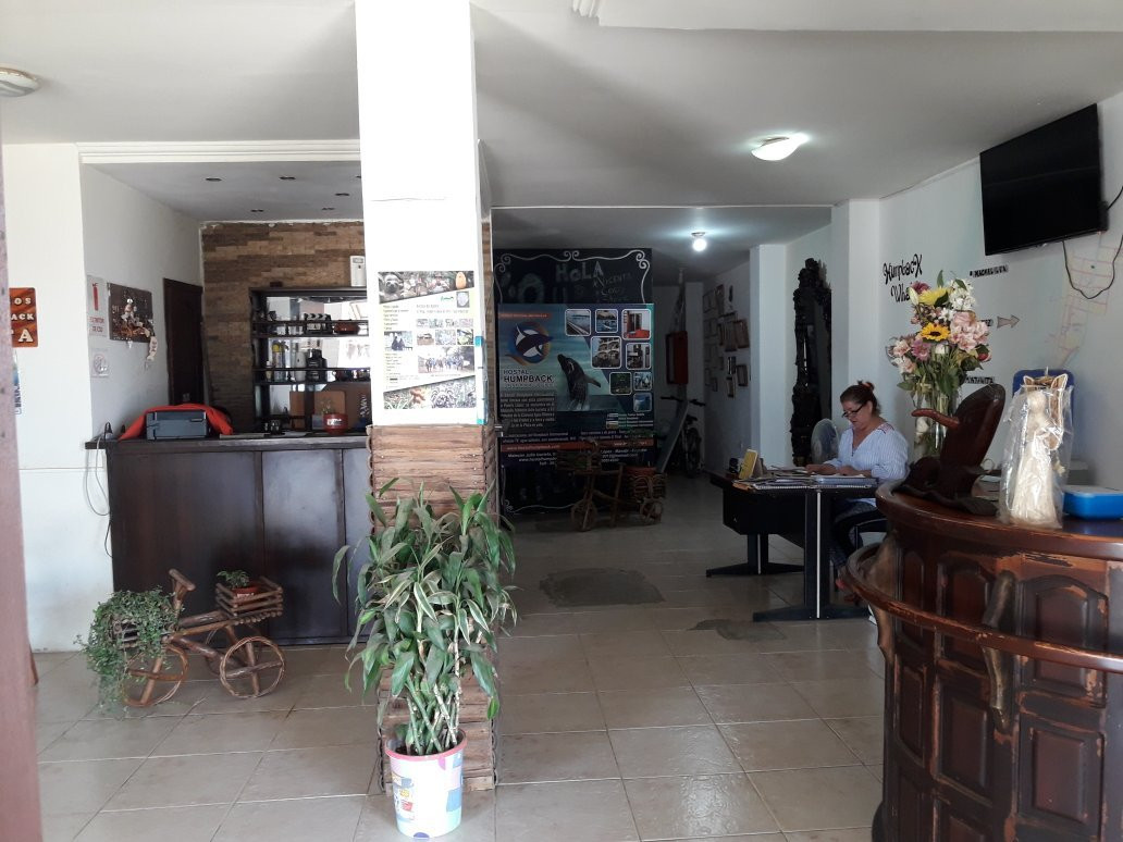 Hostal Humpback Internacional主图