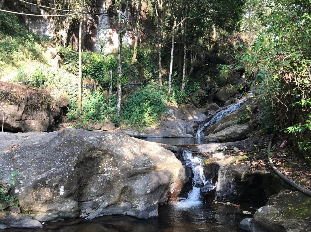 Rainforest Munnar Resort主图