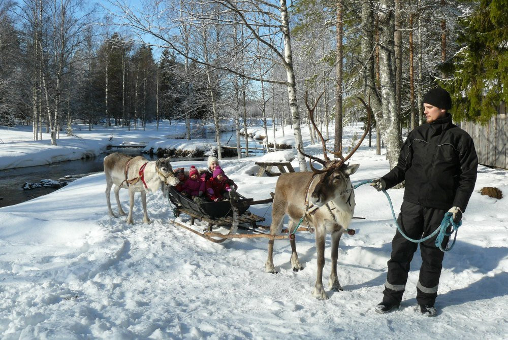 Poro-Panuma Reindeer Farm-Pudasjarvi必去景点