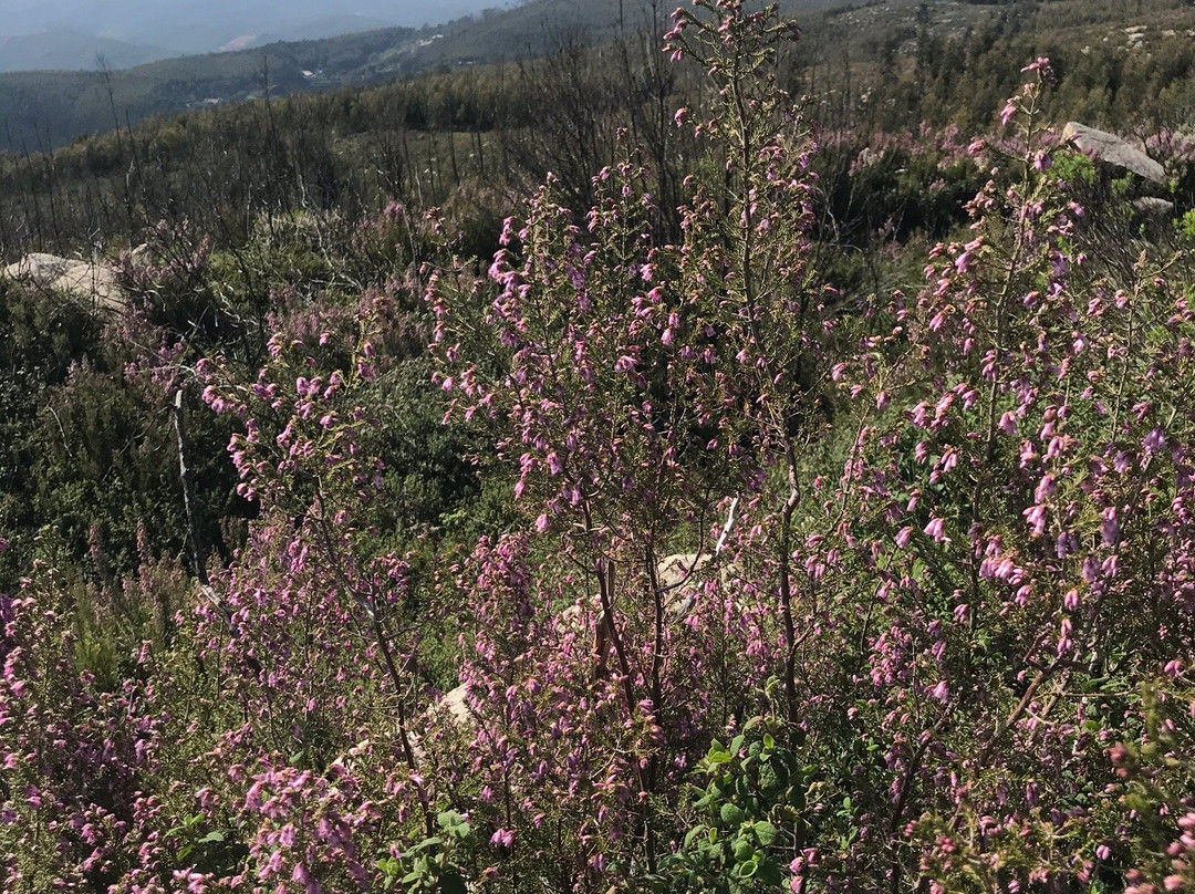 Serra da Picota景点图片