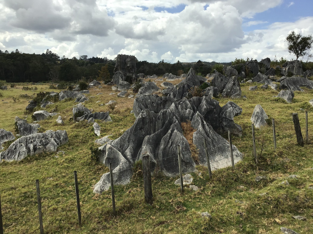 Waro Limestone Scenic Reserve Walk景点图片