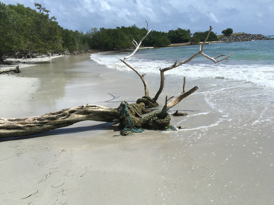 Plage de Saint-Felix-Le Gosier必去景点