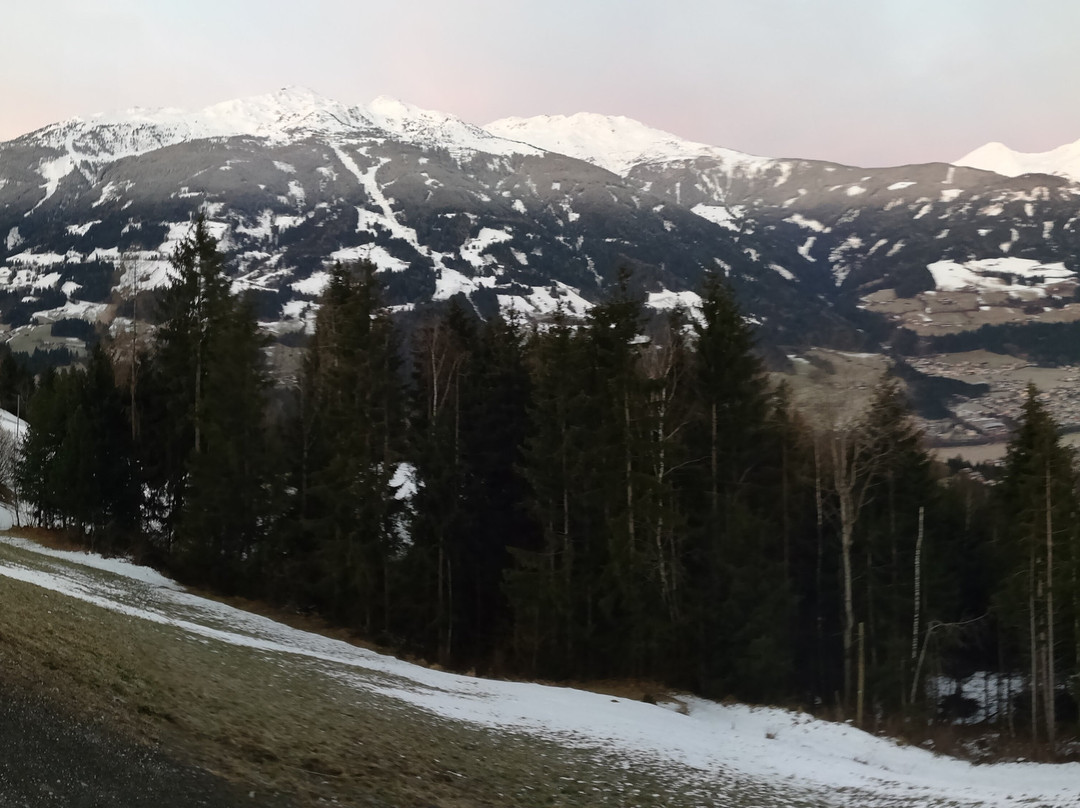 Gasthof Tannen - Alm主图