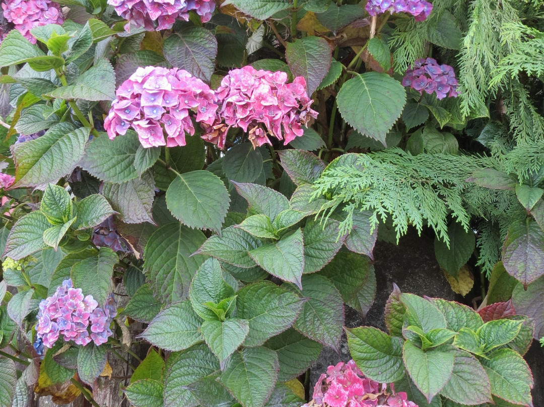 Palafitos-Castro必去景点