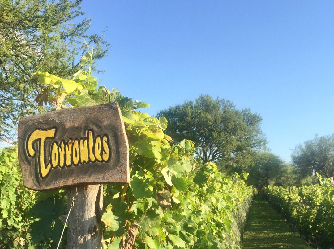 Vinedo Fraterno-梅洛必去景点