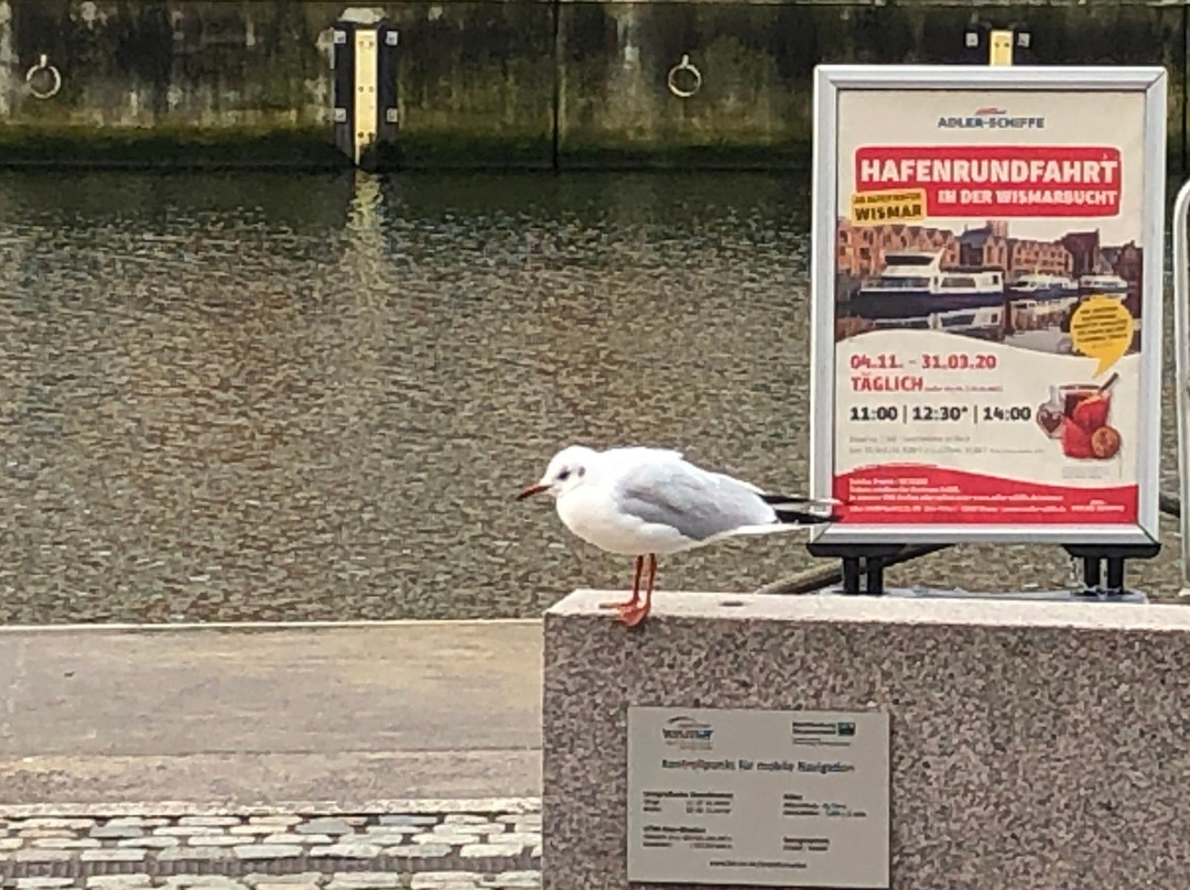 Hafenrundfahrt Wismar景点图片