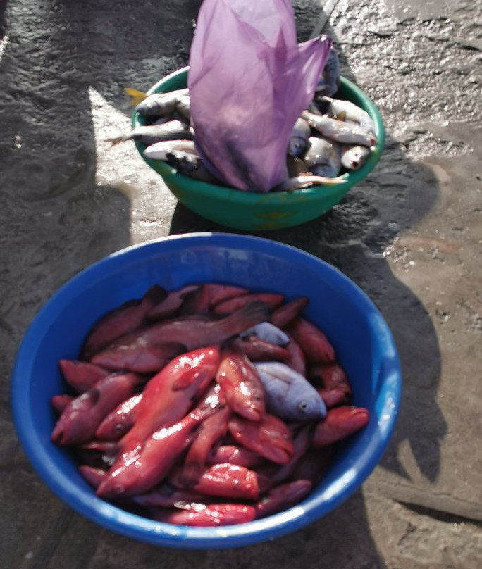 Port of Palmeira-Palmeira必去景点