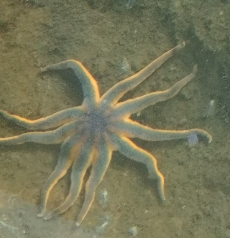 SEA Discovery Center景点图片