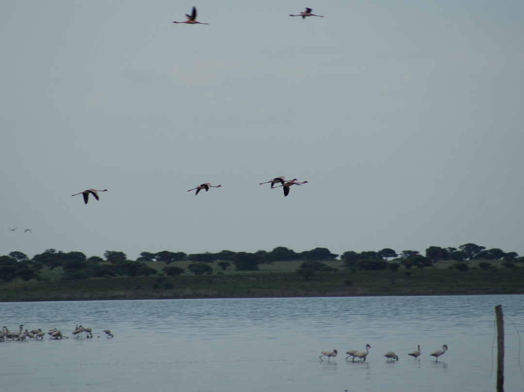 75 on Milner Lodge主图