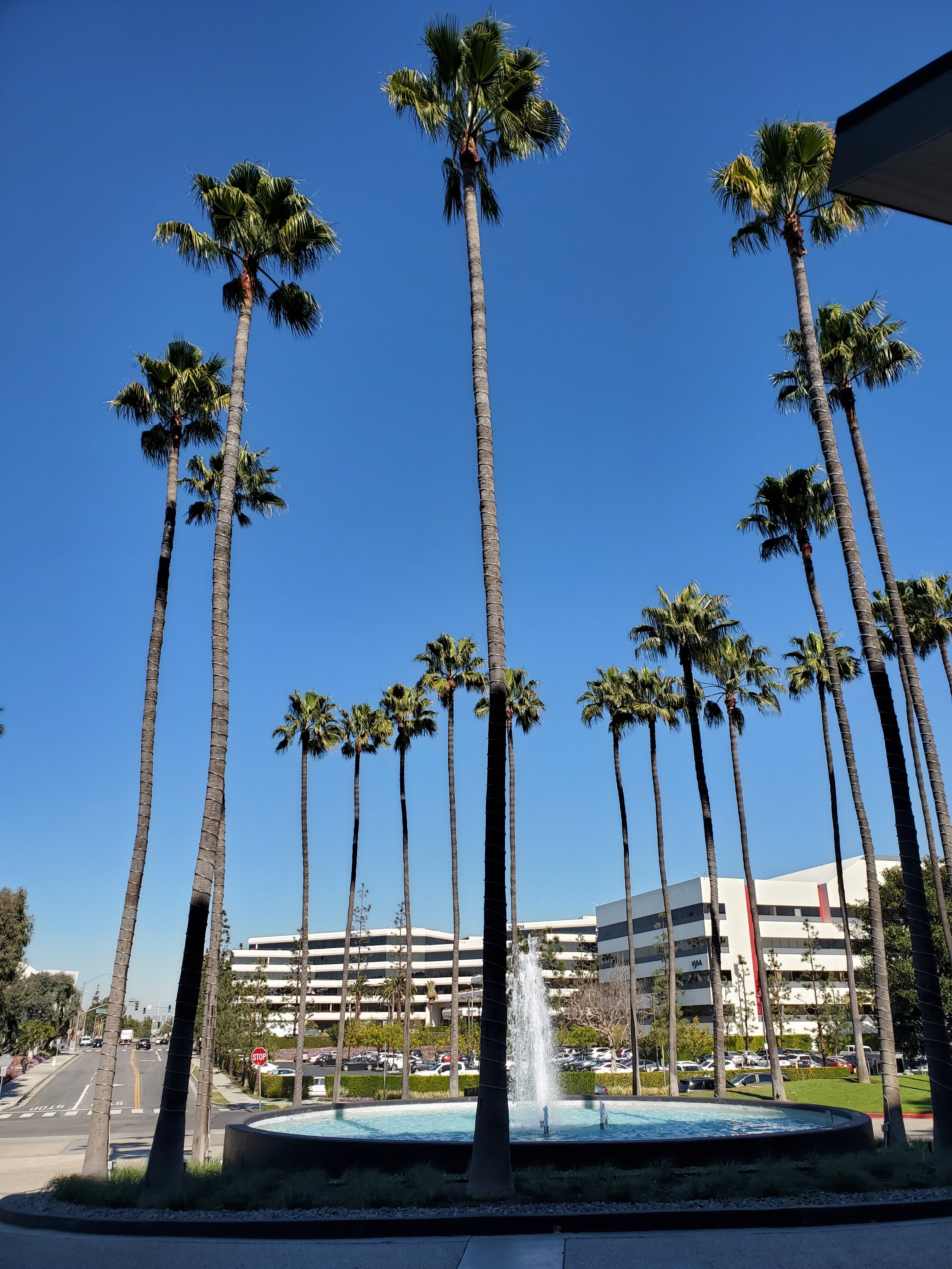 曼哈顿海滩万豪酒店-浴室