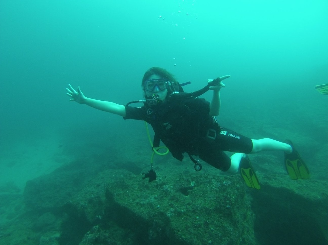 Diving Tours Mirissa景点图片