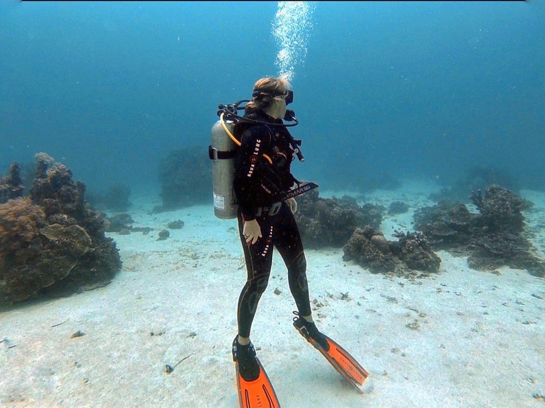 H2o Diving Siquijor景点图片