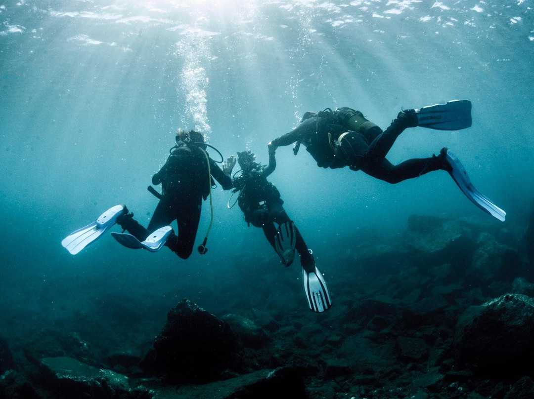 Buceo Norte景点图片