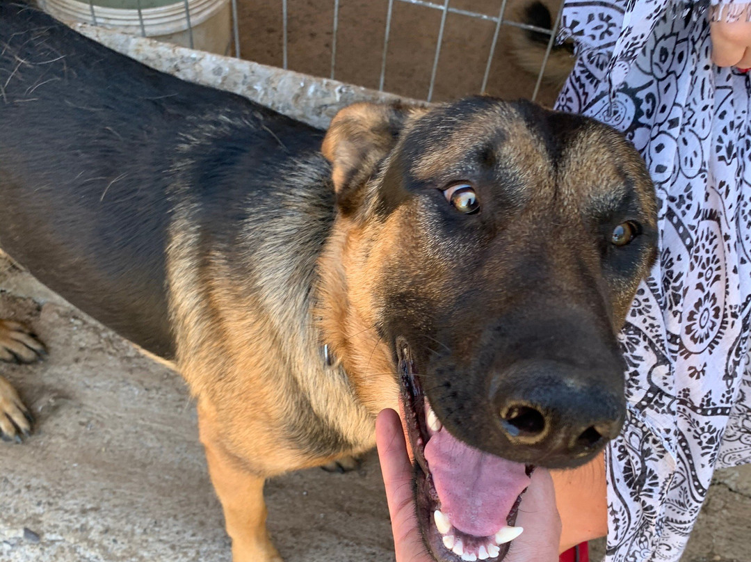 Rancho Vida Sana-Olmue必去景点