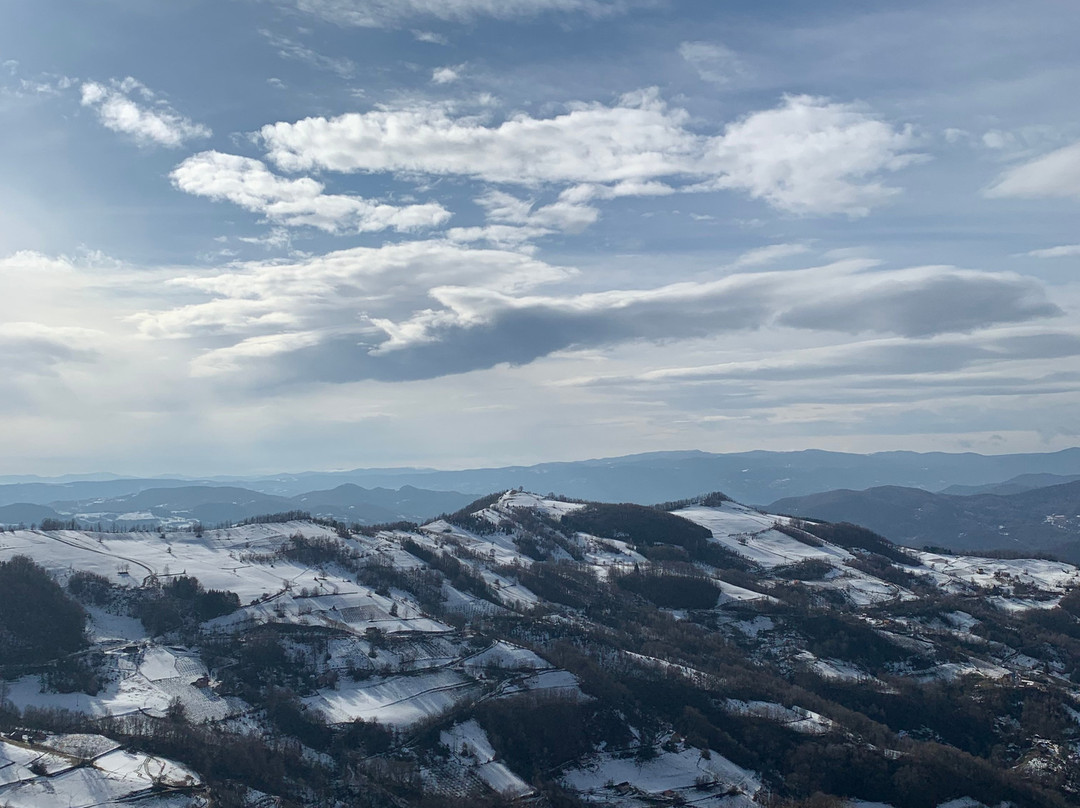 Serbia Experience Tours景点图片