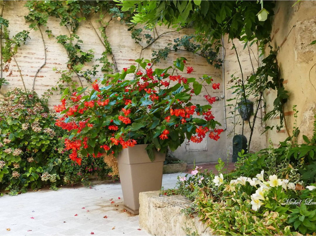 Office de Tourisme du Val de Garonne景点图片
