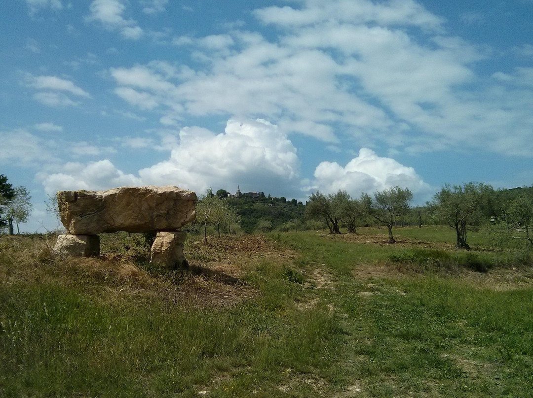 Tours by Histria Guide-波雷奇必去景点