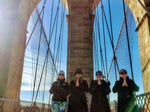 Fit Tours NYC-纽约市必去景点