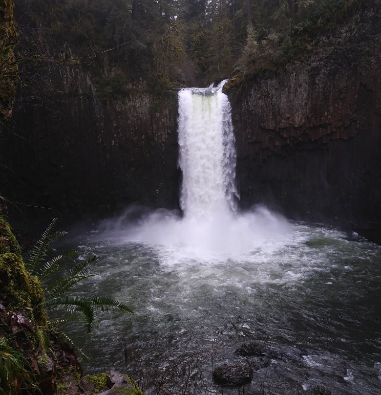 Abiqua Falls Trail-Scotts Mills必去景点
