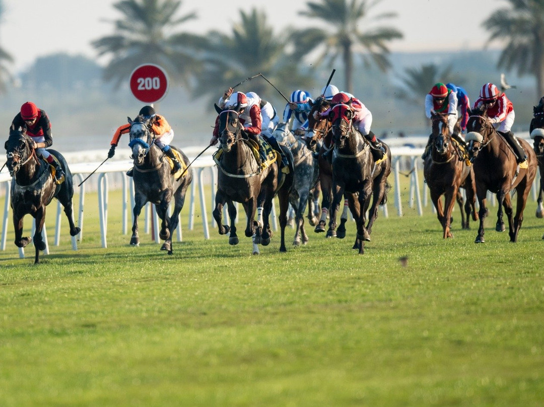 Rashid Equestrian & Horseracing Club-Riffa必去景点