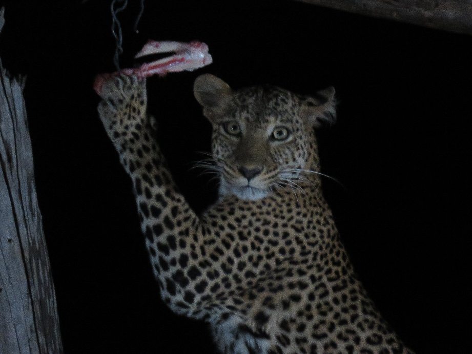 Excursions Bahati KENYA-瓦塔木必去景点