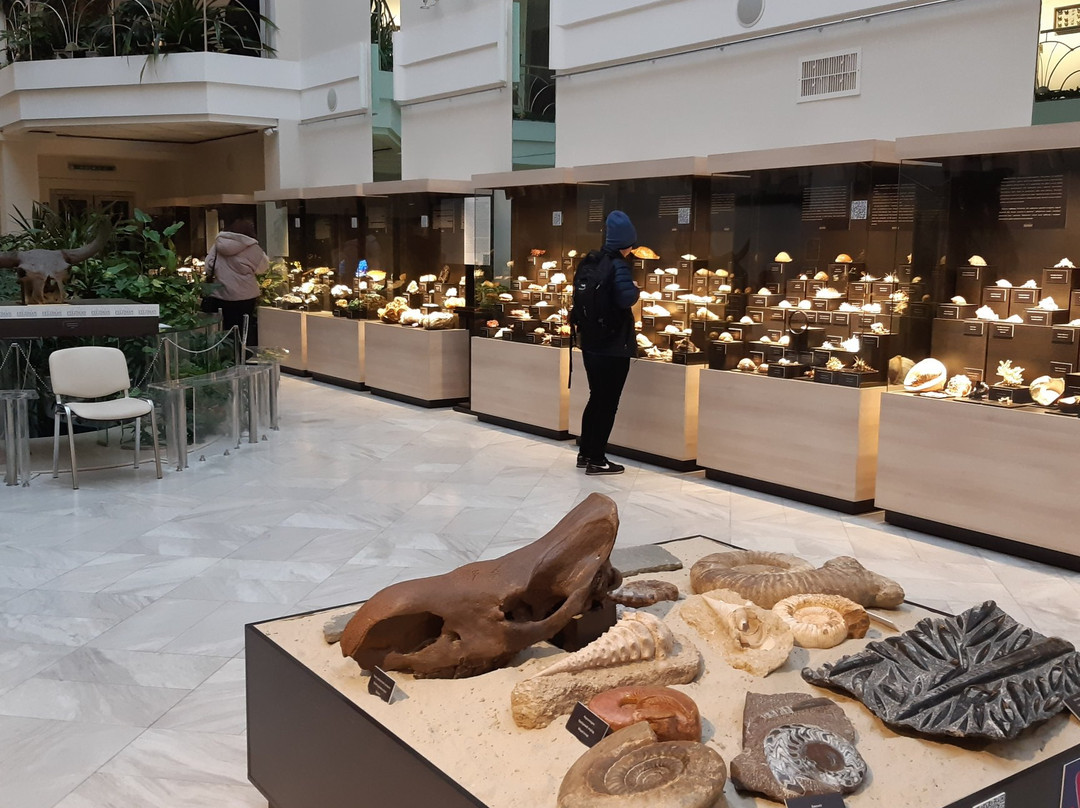 Avec Fine Arts Gallery-哈尔科夫必去景点