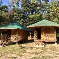 Back Trippers Inn主图