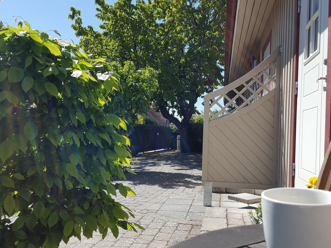 B&B Villa Orion主图
