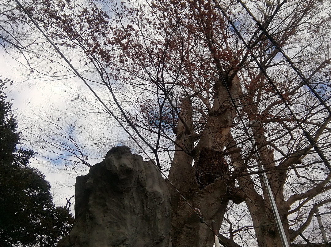 Suzume Shrine-古河市必去景点