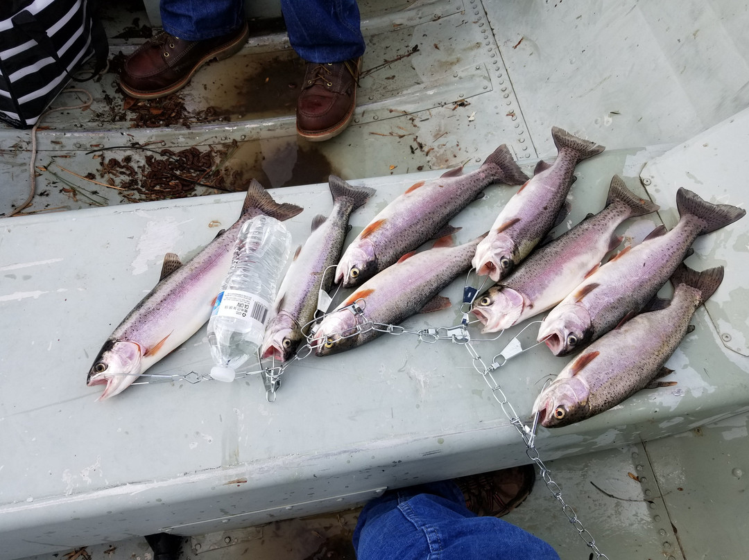 White Mountain Apache Indian Reservation-Whiteriver必去景点