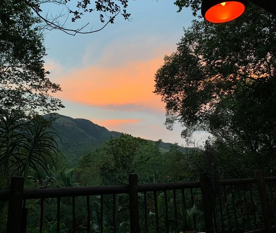 Old Joe's Kaia主图